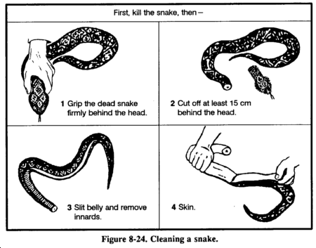 How to clean a snake (diagram)
