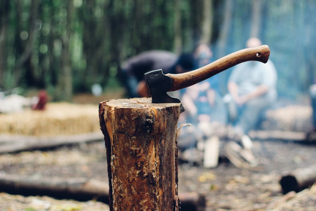 Axe in a Tree Stump