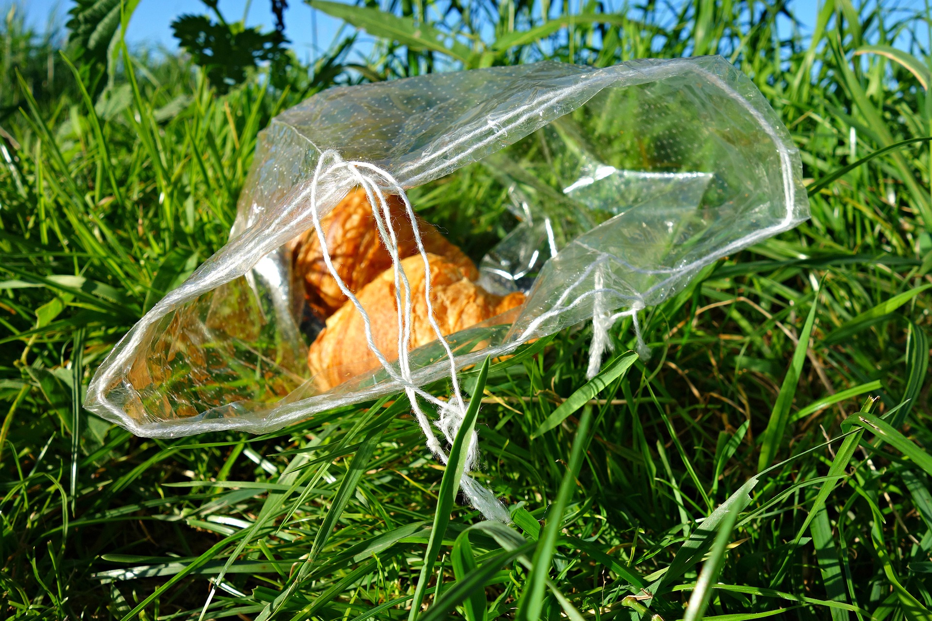 Can The Virus Live On Plastic Bags at Anton Ross blog