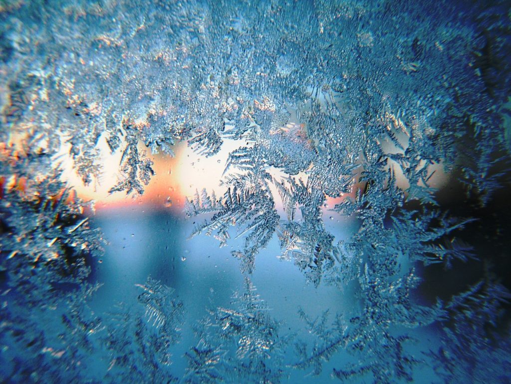 Morning Frost (closeup)