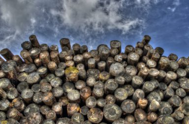 Large stack of logs
