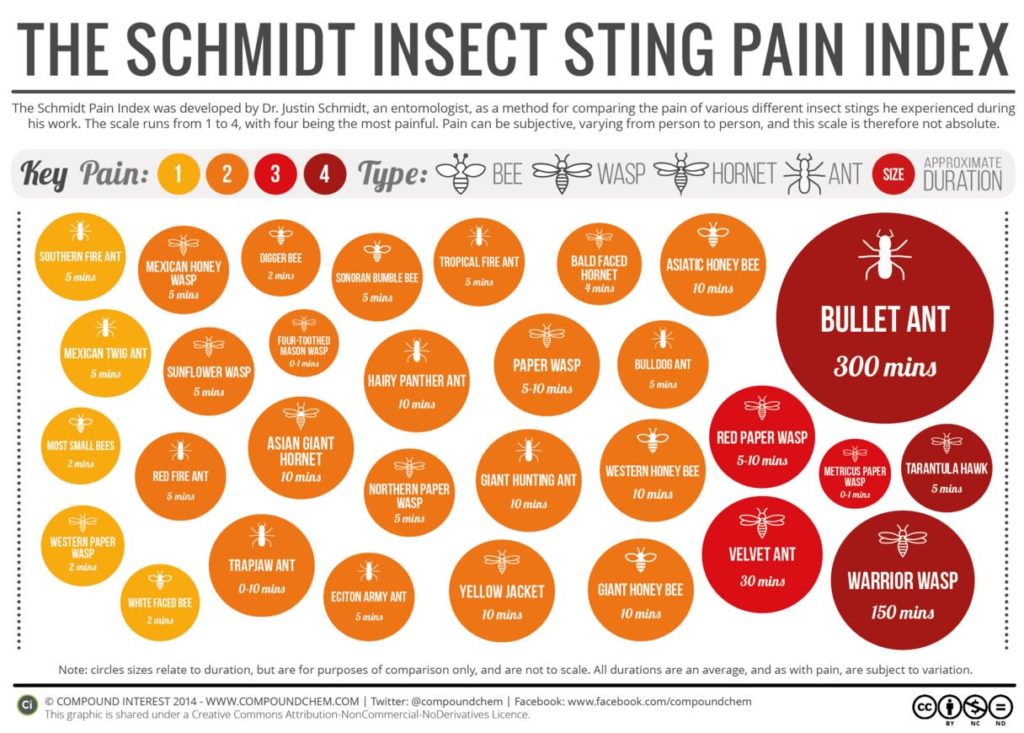 Schmidt Insect Sting Pain Index