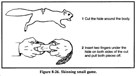 How to skin small game (diagram)