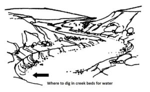 Diagram of where to find water by digging in a creek bed