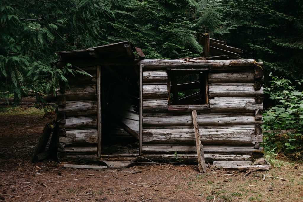 Wilderness Cabin Shelter