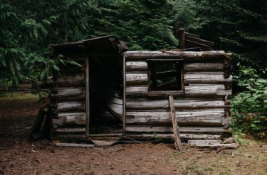 Wilderness Cabin Shelter