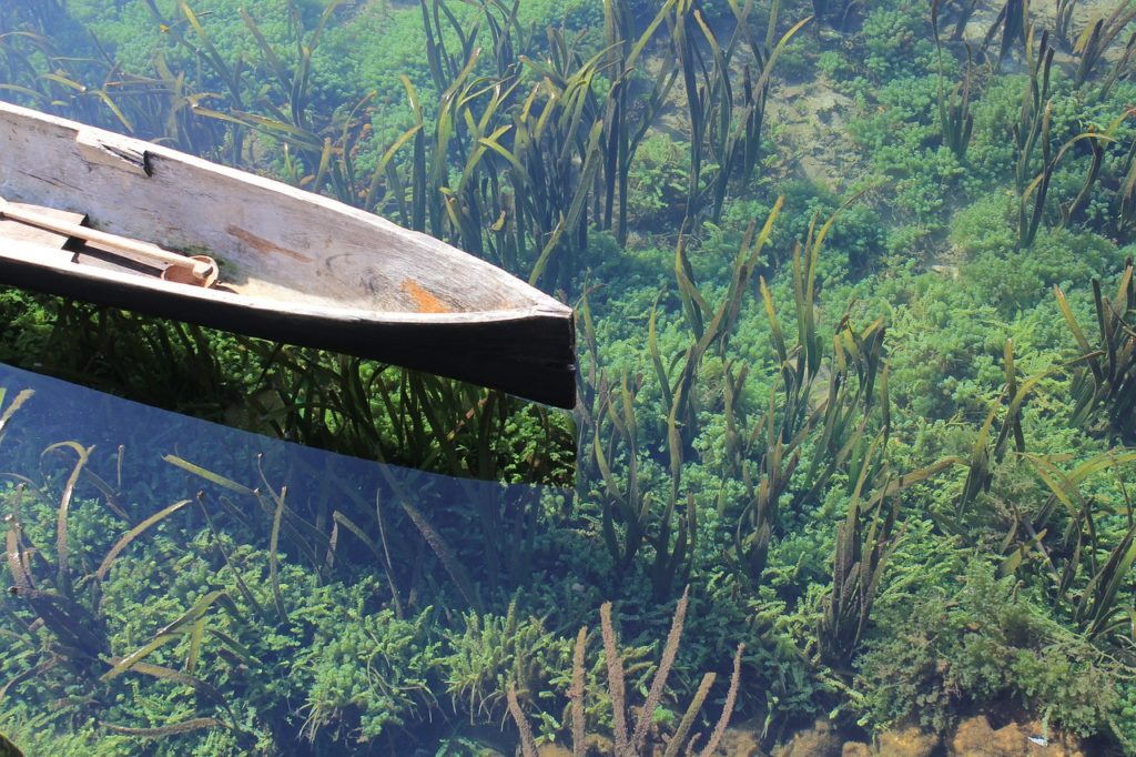 Dugout Wood Canoe